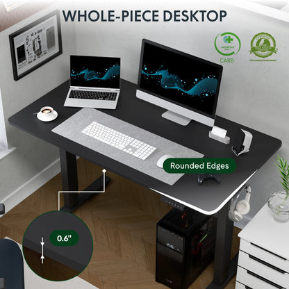 FLEXISPOT 40"X24" Home Office Height Adjustable Standing Desk Black Computer Desk